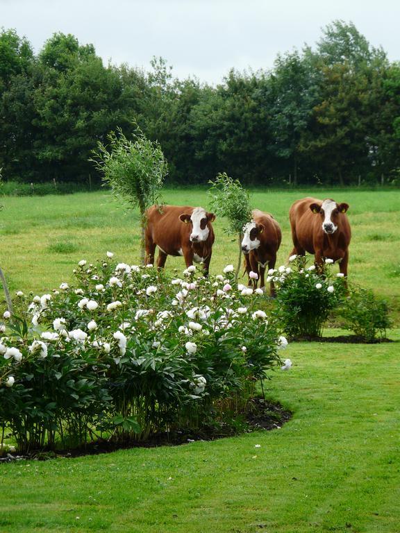 Bed and Breakfast Landgoedlogies Pabema Zuidhorn Exteriér fotografie